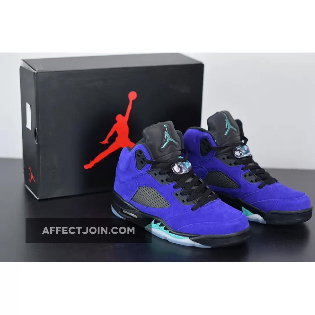 Purple Air Jordan 5 "Alternate Grape" / $500 Jordans 136027-500