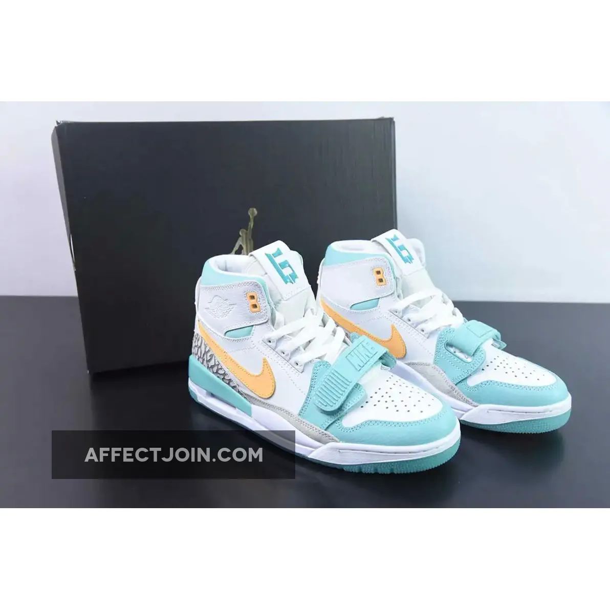 Jordan Legacy 312 Guo Ailun PE